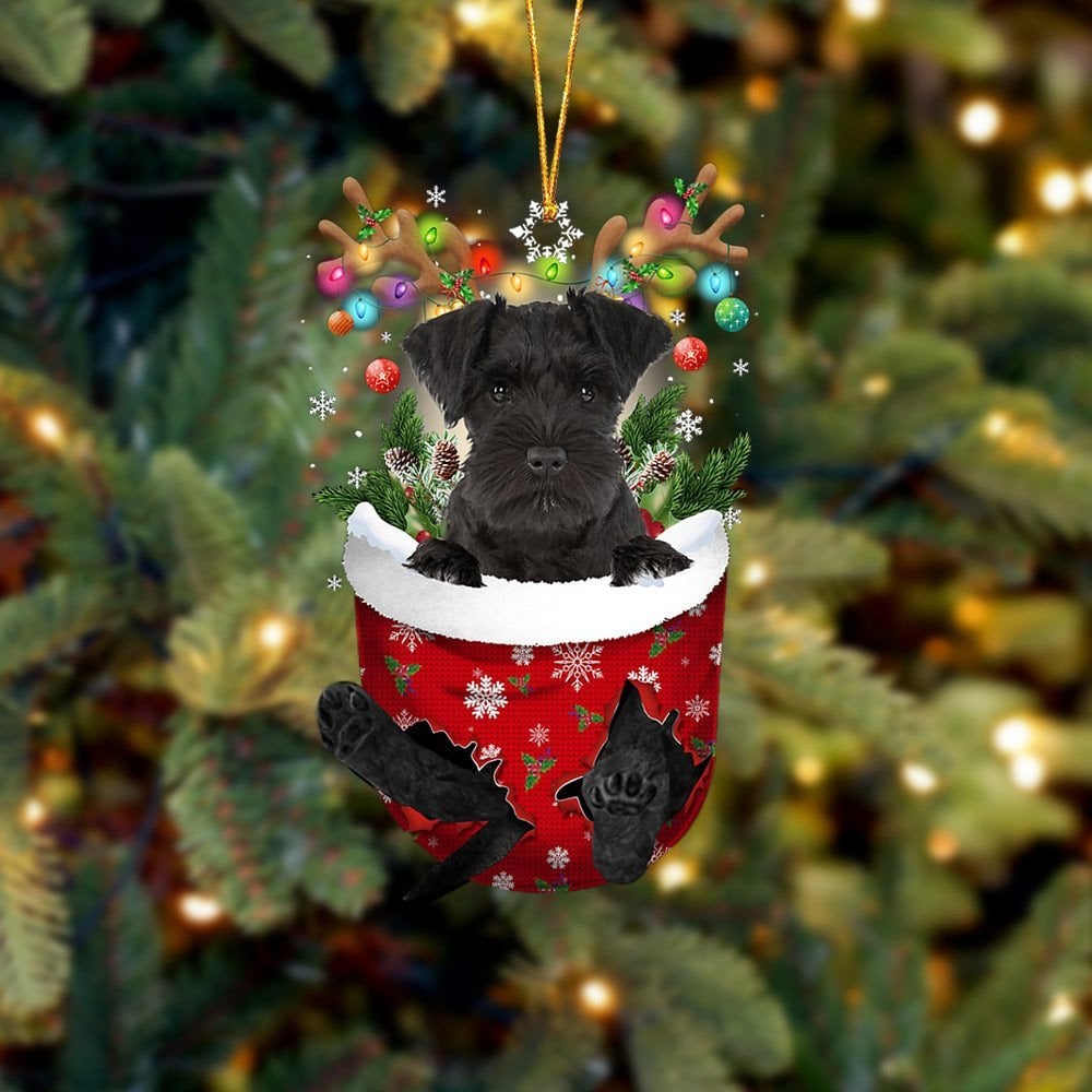 BLACK Miniature Schnauzer In Snow Pocket Ornament