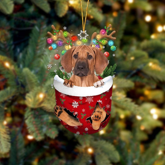Rhodesian Ridgeback In Snow Pocket Ornament